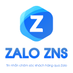 Zns Logo